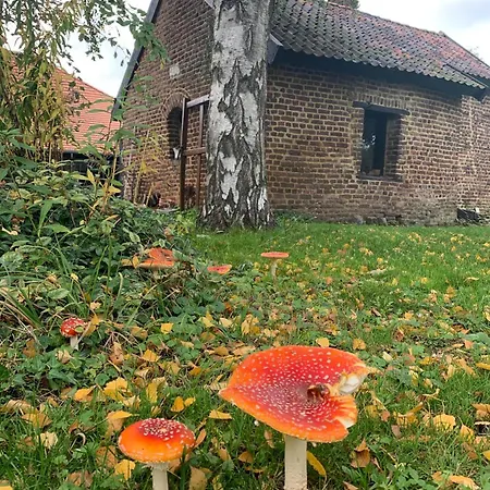 Bed & Breakfast En 't Wienhoes Wittem