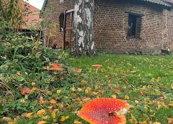 Bed and breakfast En 't Wienhoes Wittem